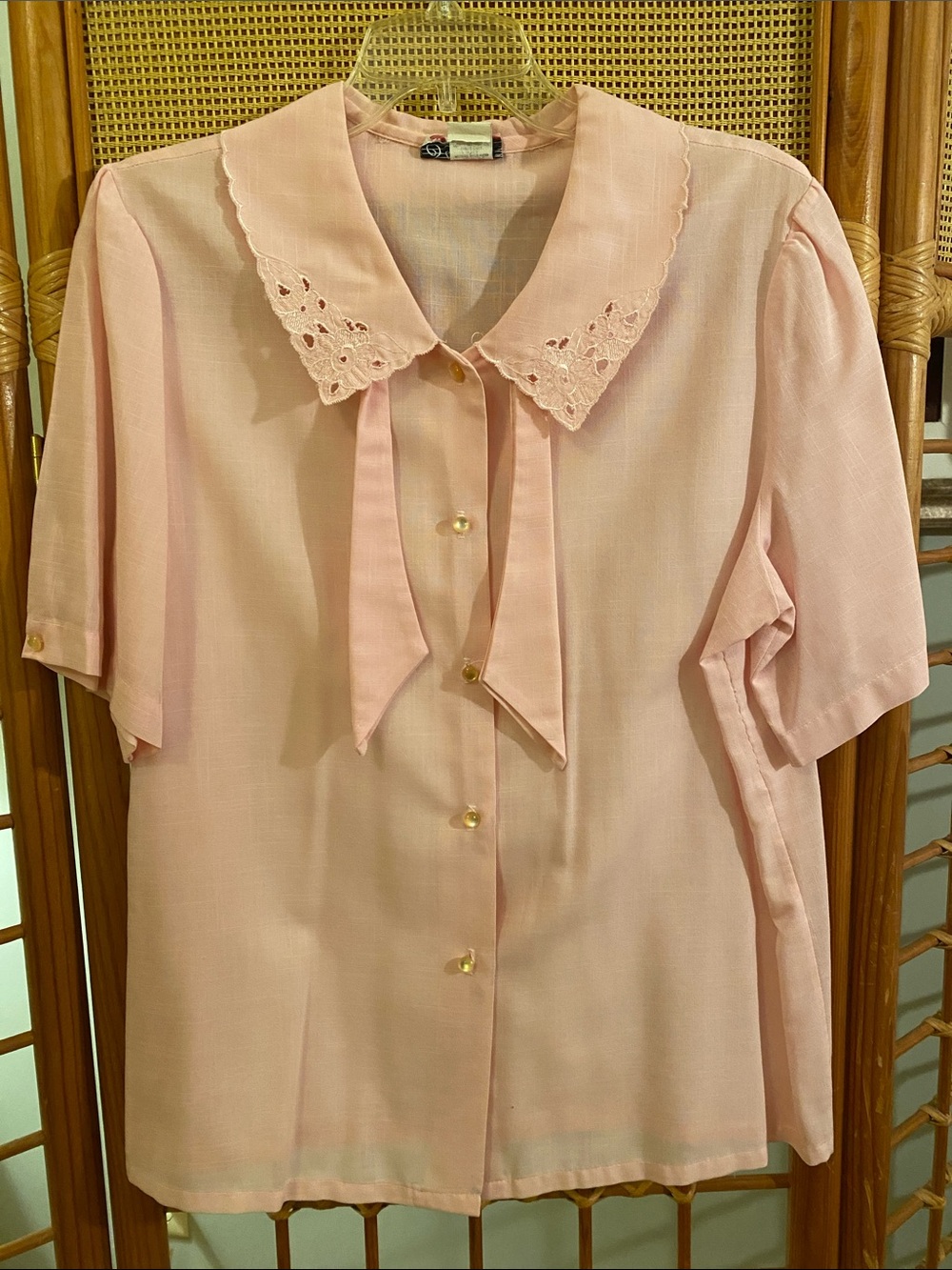 Delicate Pink Tie-Collar Button-Down Blouse